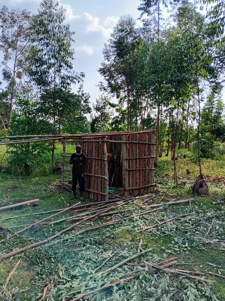 Pole frame going up for a shelter