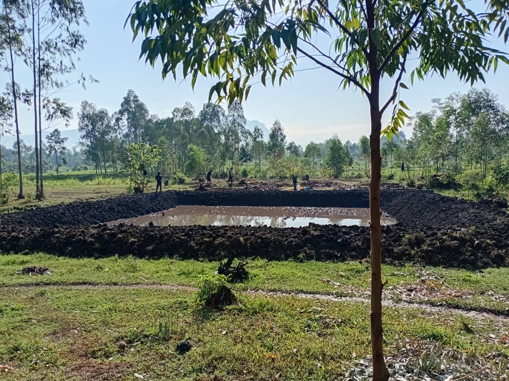 The crew at work around the pond in the morning