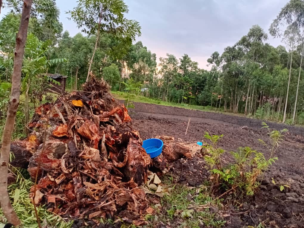 Clearing stumps and debris at the edge of the site