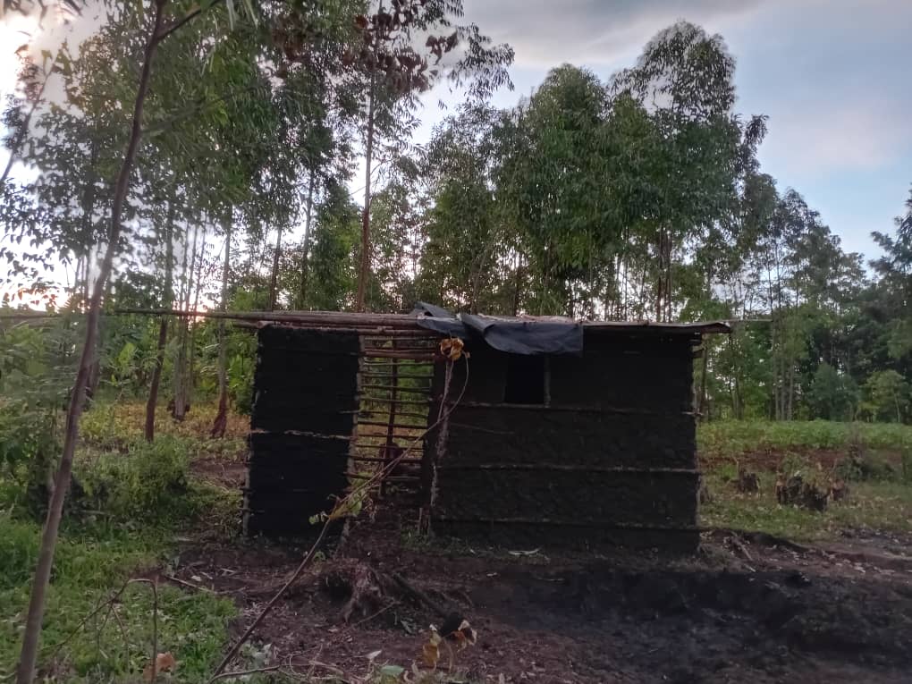 Mud-walled shelter with its roof frame in place