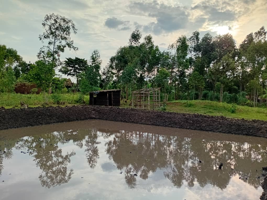 The fish pond holding water, with a shelter and a second frame behind it