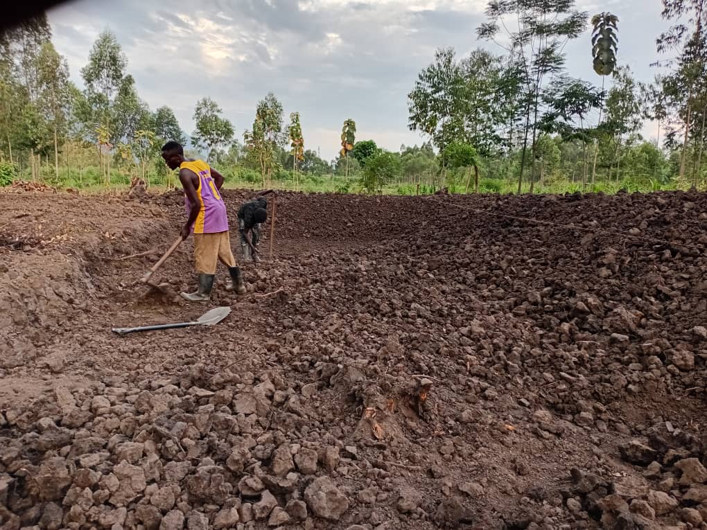 Breaking up soil clods by hand