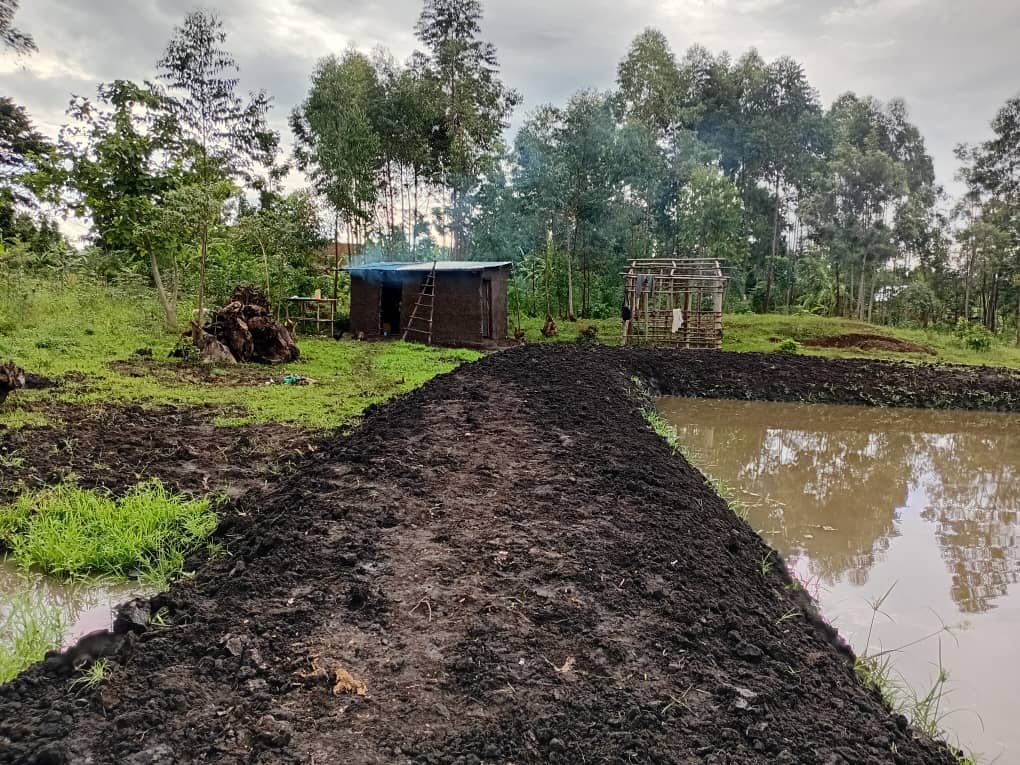 Ground preparation to strengthen the fishpond banks