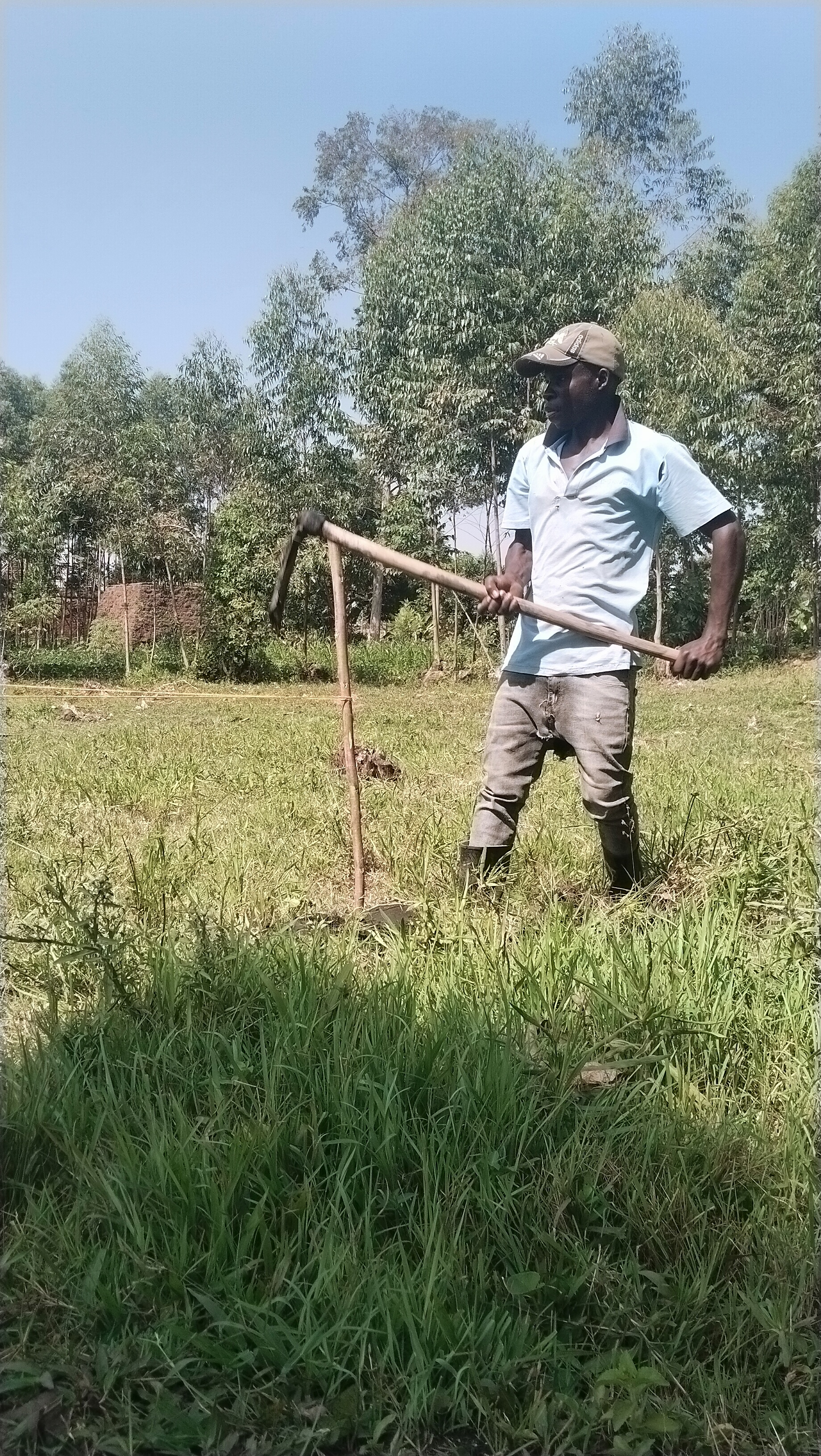Setting out the site with string lines and pegs