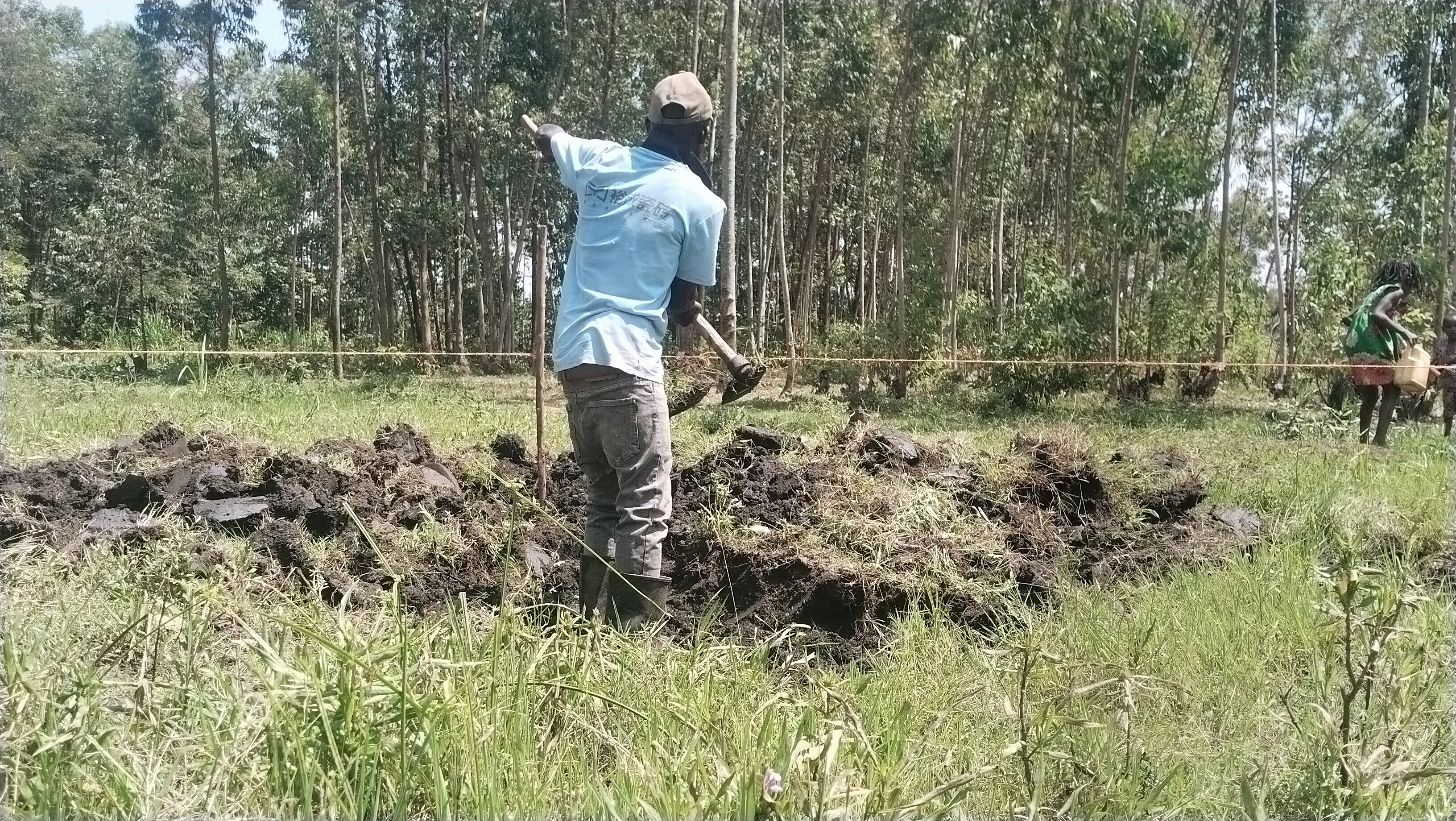 Breaking ground along the string line